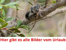 Hier gibt es alle Bilder vom Urlaub